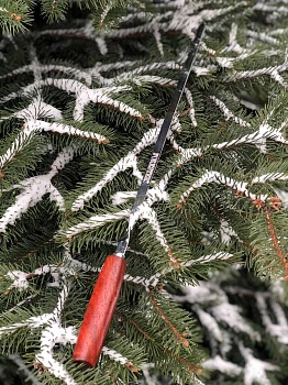 фото Набор шампуров больших (6шт) с ручками из красного дерева  в блистере Forester RZ-60WP
