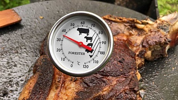 фото Термометр для мяса  Forester C830